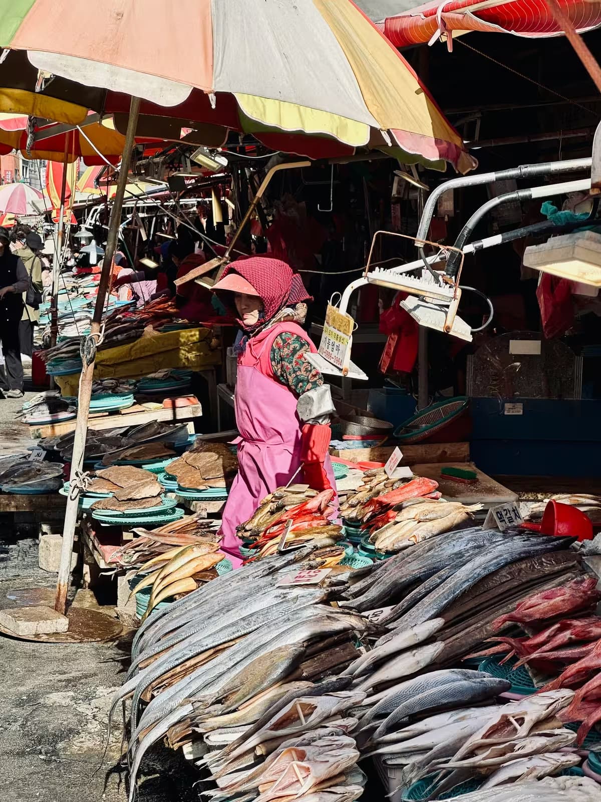 What Is an Emergency Buffer? (Australia) How Much Cash to Keep