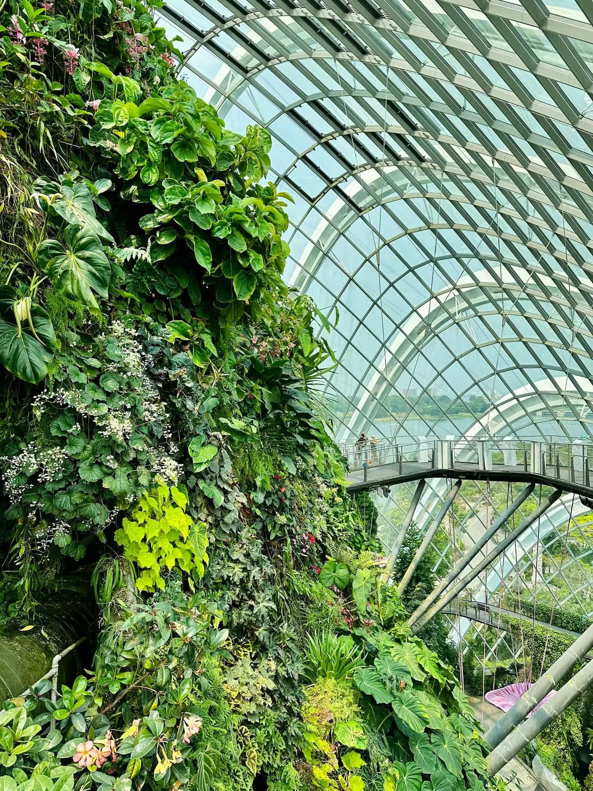 Debt Triage and Why Interest Rate Matters