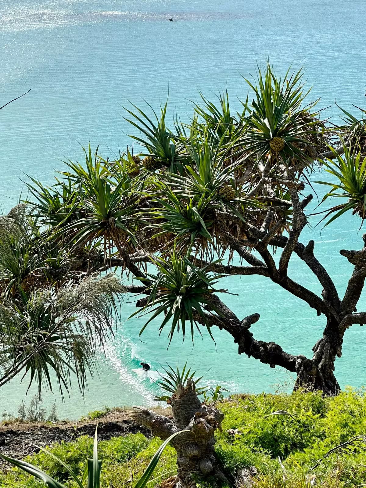 What Investing Is in One Page